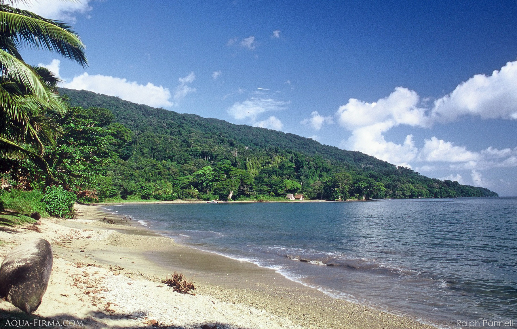 Masoala Peninsula National Park Madagascar