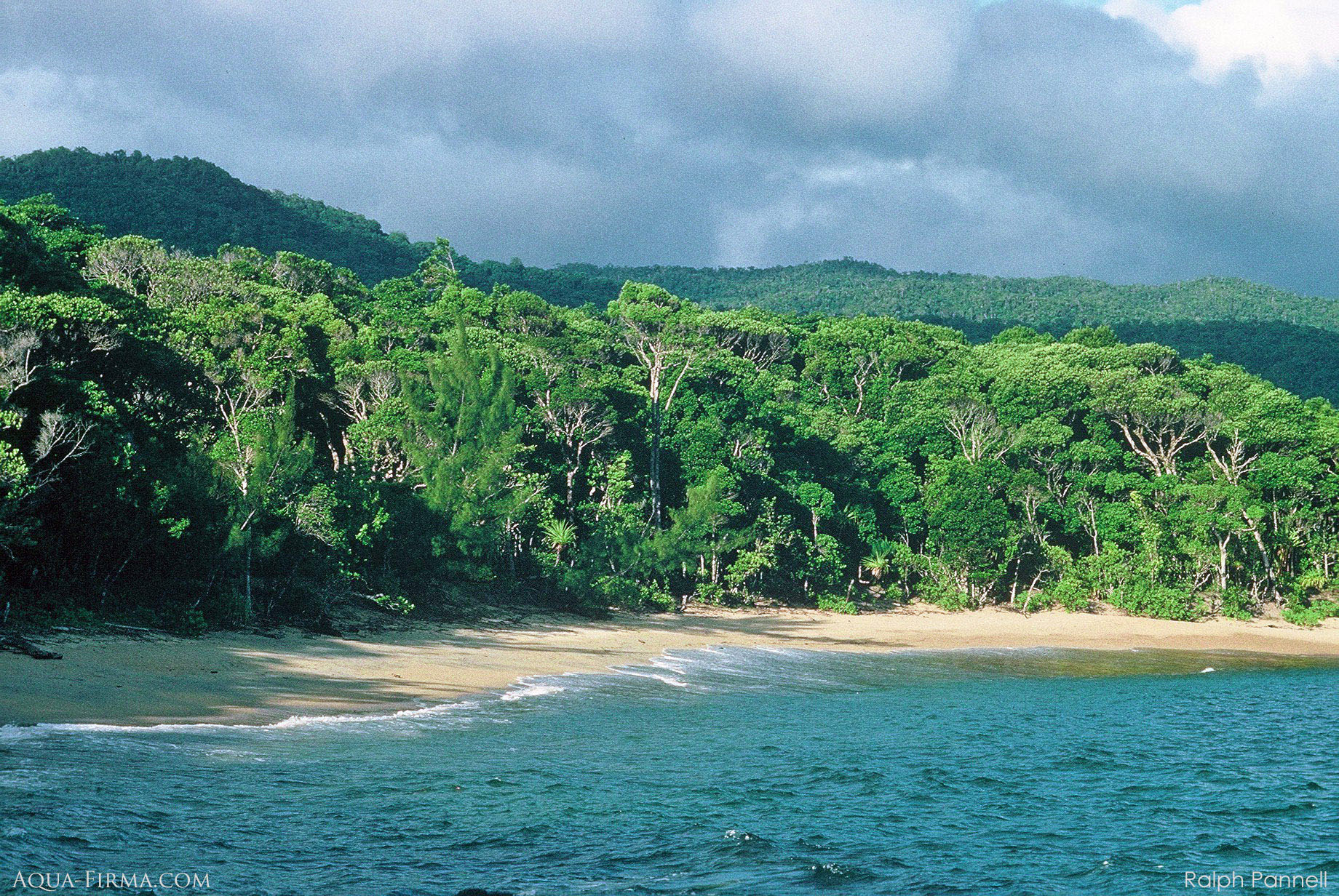 Masoala Peninsula National Park Rainforest Meets Ocean