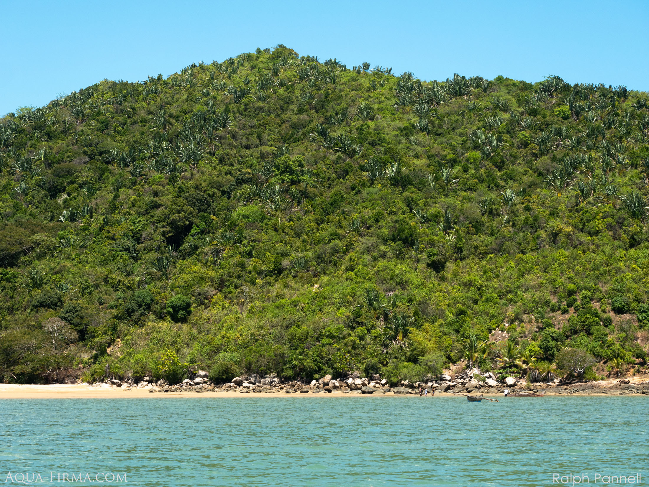 Nosy Be Lokobe Rainforest National Park