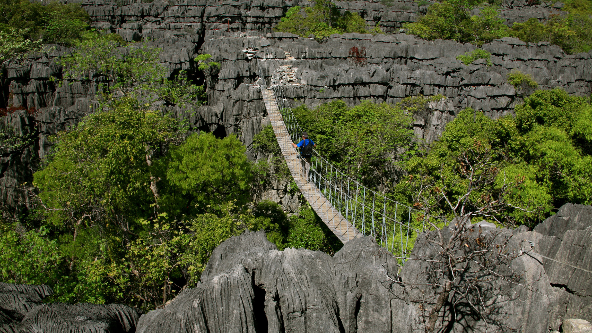Rope Bridge across the Ankarana Reserve Tsingy in Madagascar