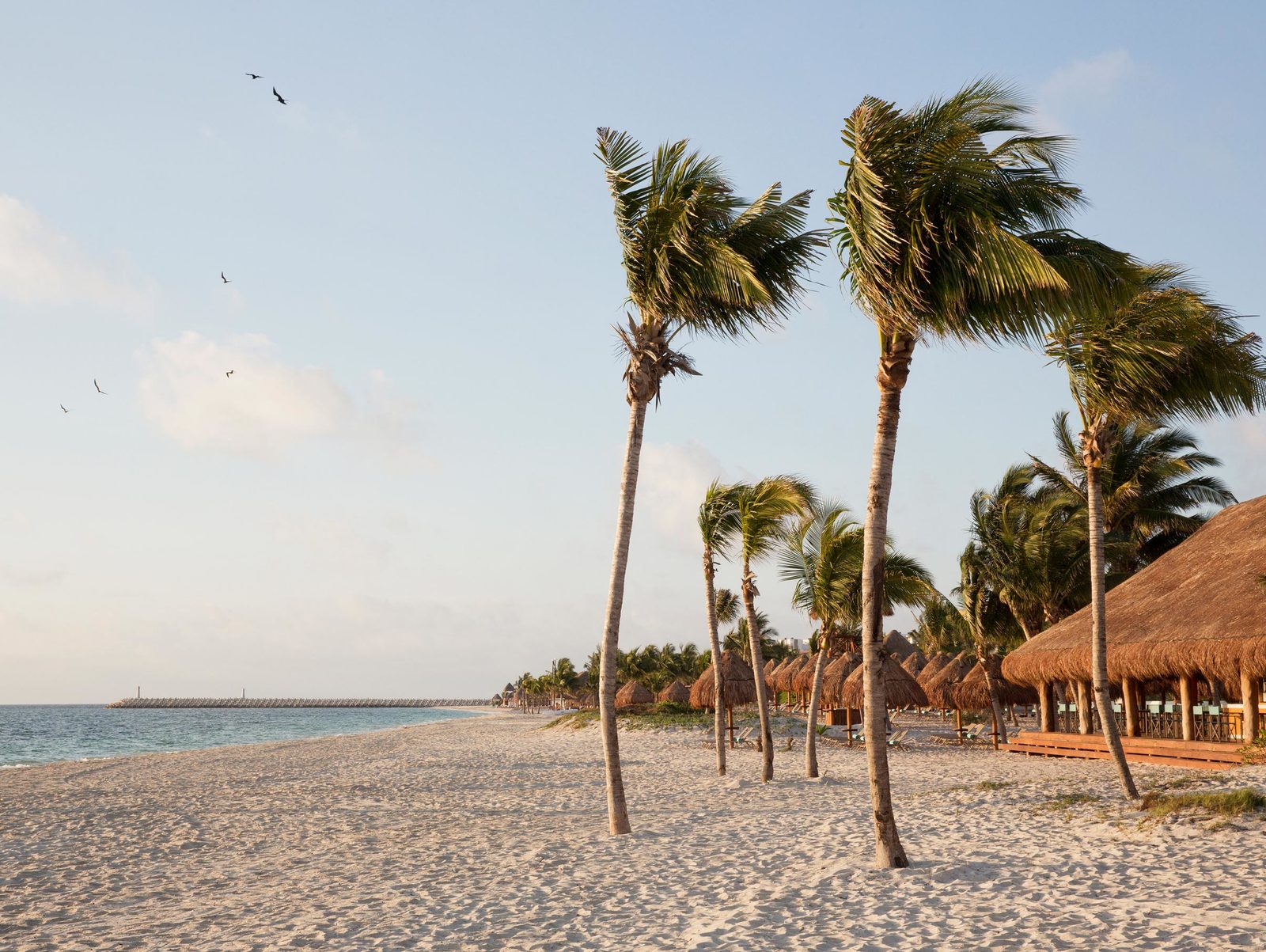 Beach at Playa Mujeres Cancun Mexico