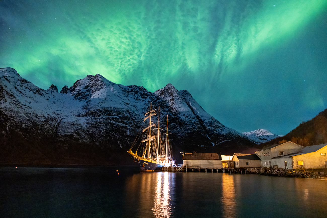 Norway Orca & Northern Lights Tallship Sailing Voyage