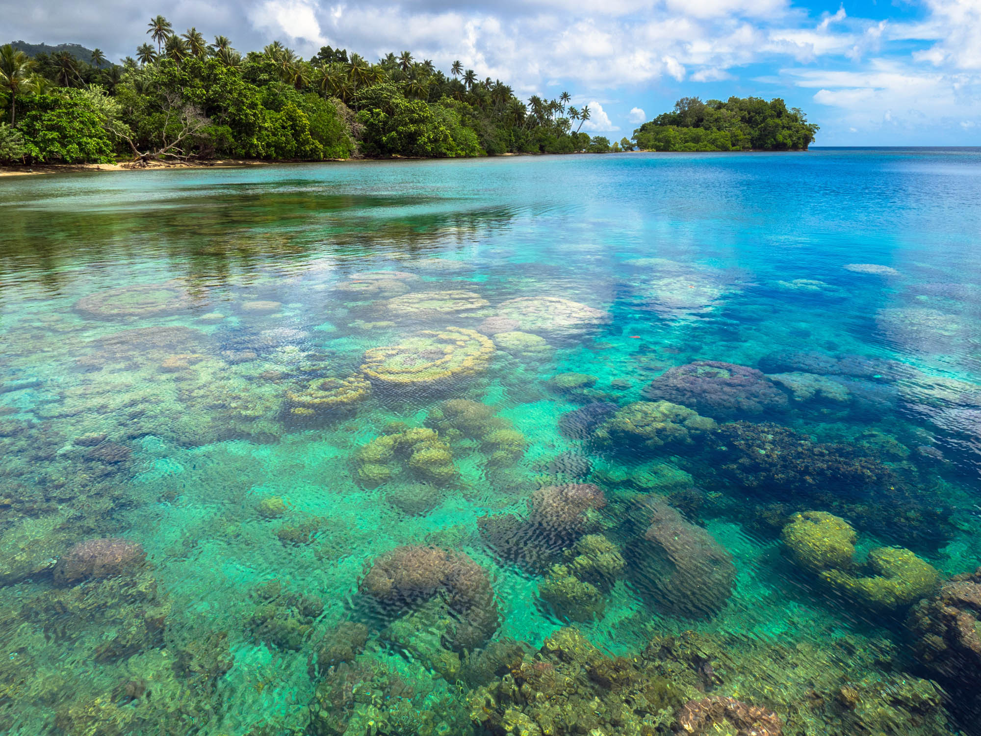 Shallow Reef in Milne Bay