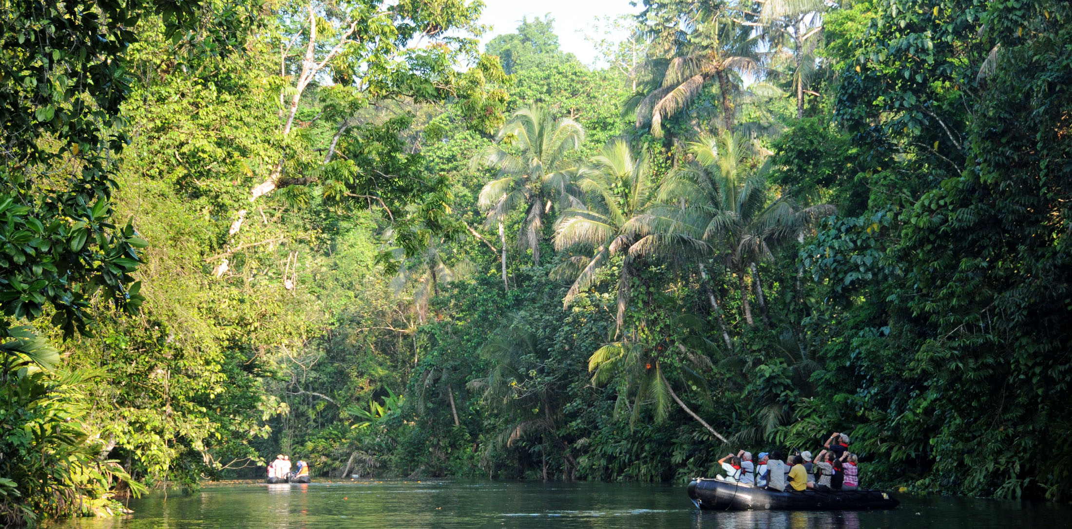 Zodiac Cruise on the Sepik River in Papua New Guinea - A Russ