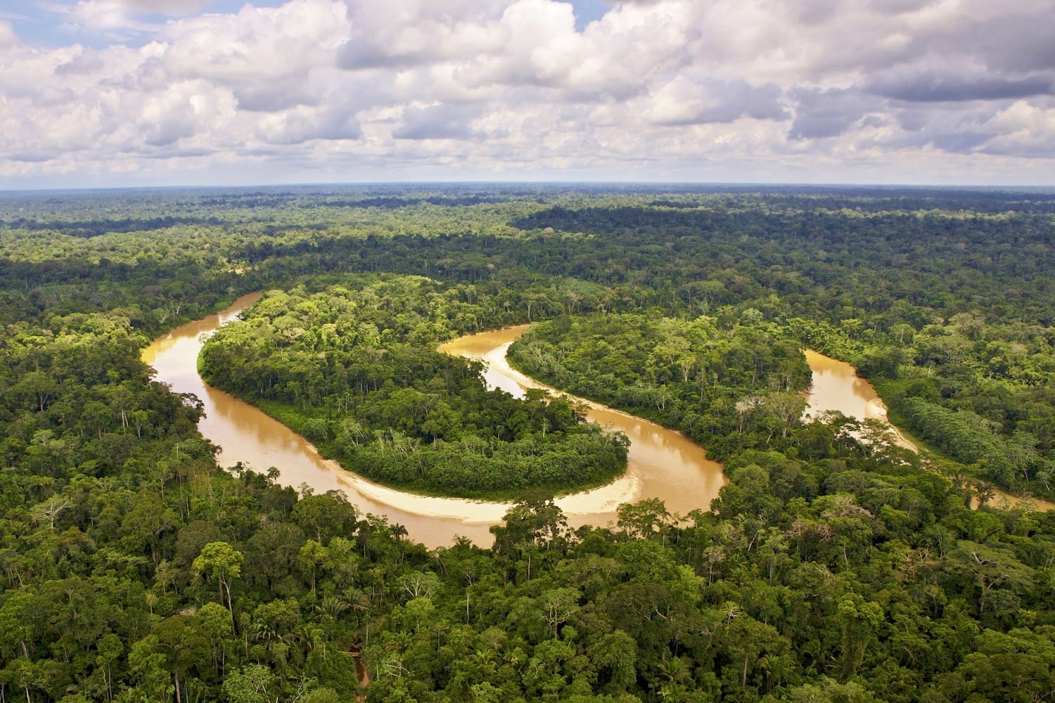 Peruvian Amazon Rainforest Wilderness