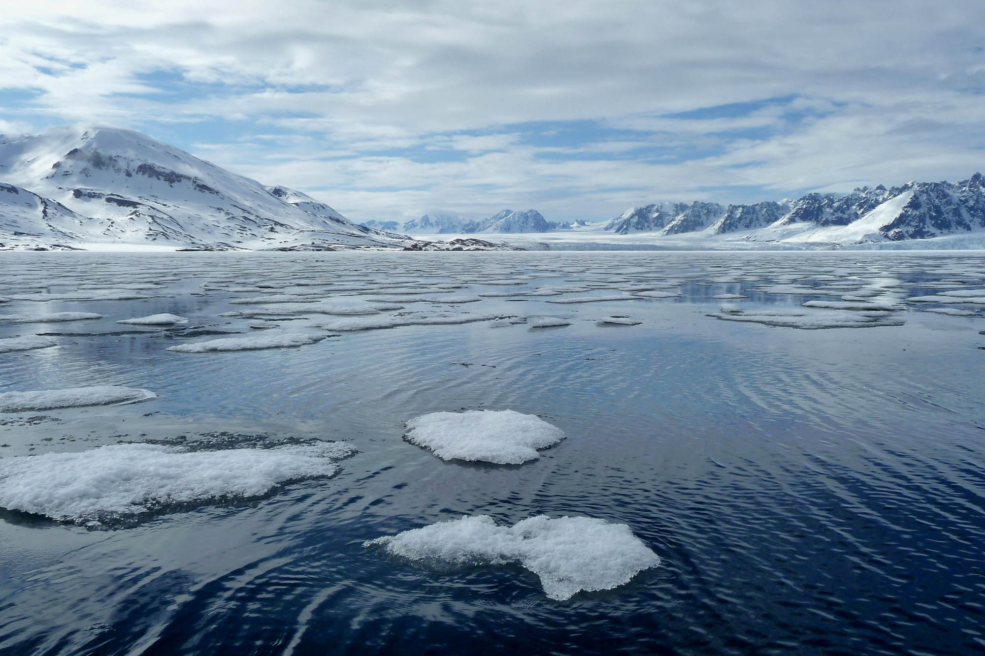 Liefdefjord, Spitsbergen - Keith Hiscock