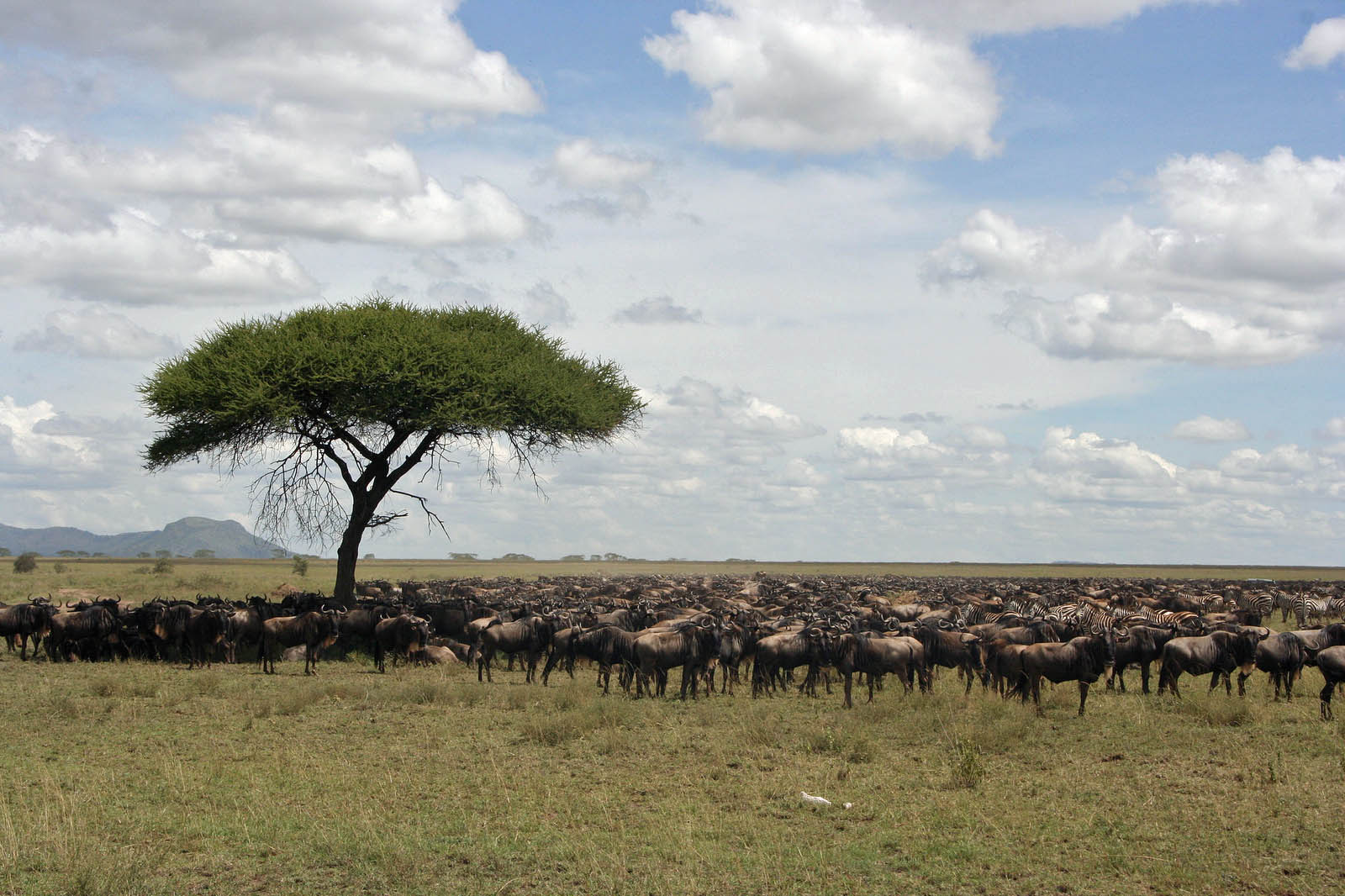 Serengeti National Park