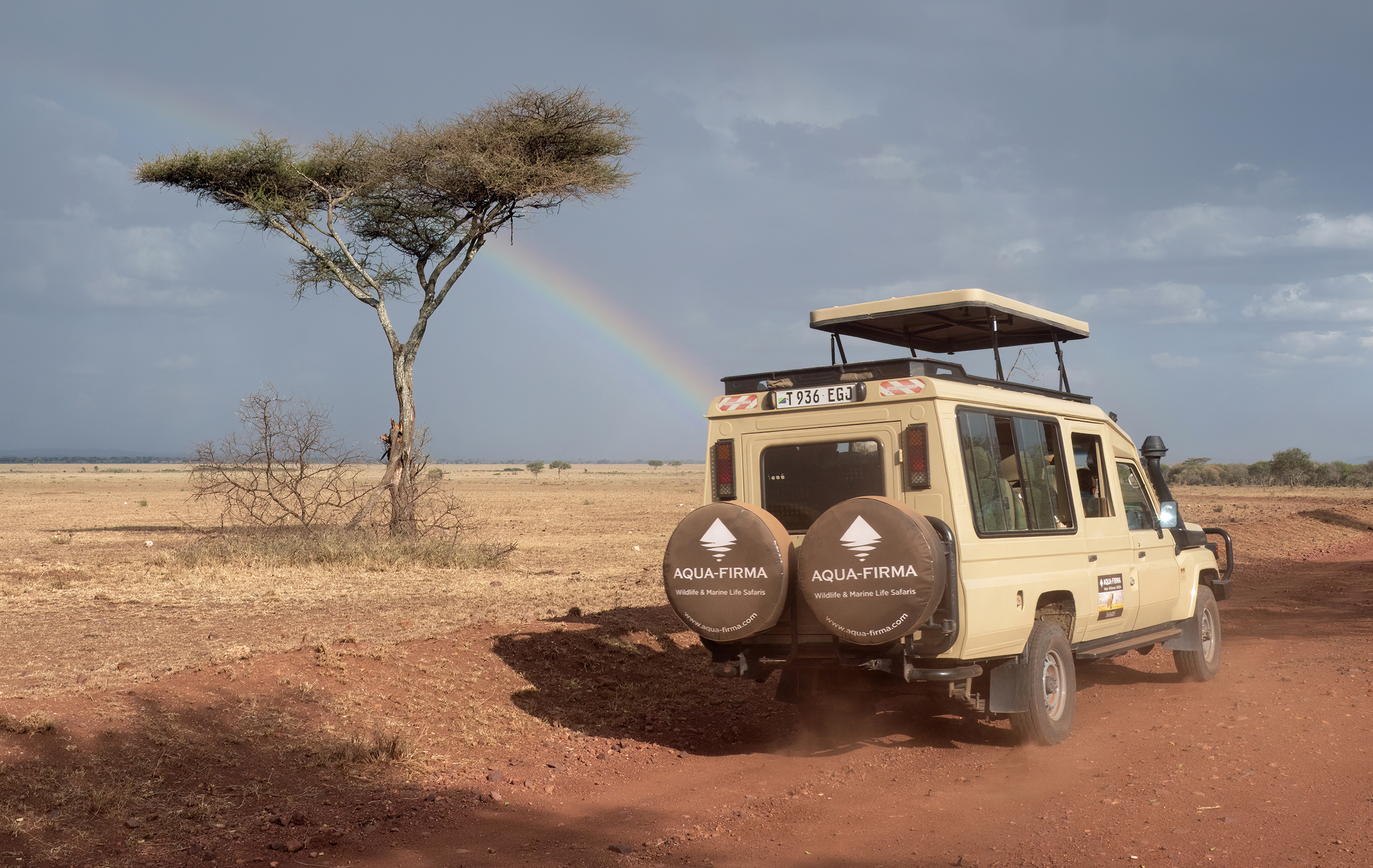 safari Toyota Land Cruiser Serengeti national park